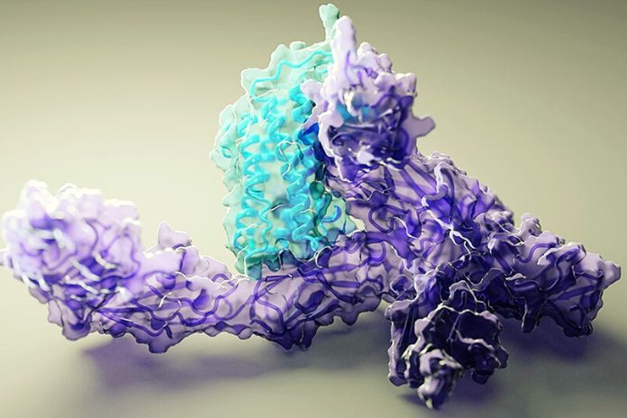 DeepMind This Algorithm Recognizes The Protein Structure Of Almost All Species
