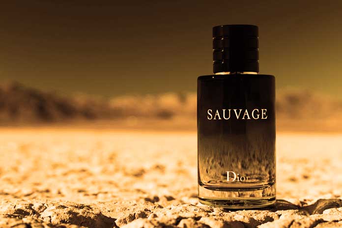 Dior Sauvage Dossier.Co